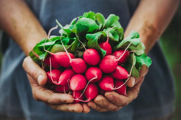 Ravanelli, l'alimento antistress a portata di tutti