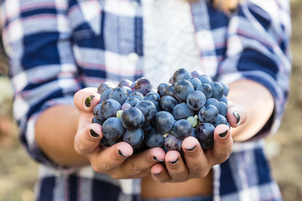 alimentazione;dieta;benessere