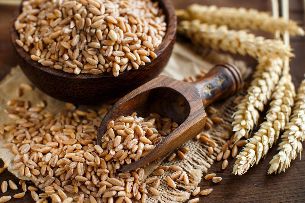 ricette con il farro