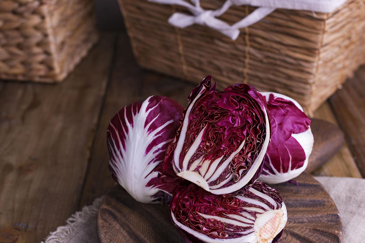 Radicchio rosso di verona