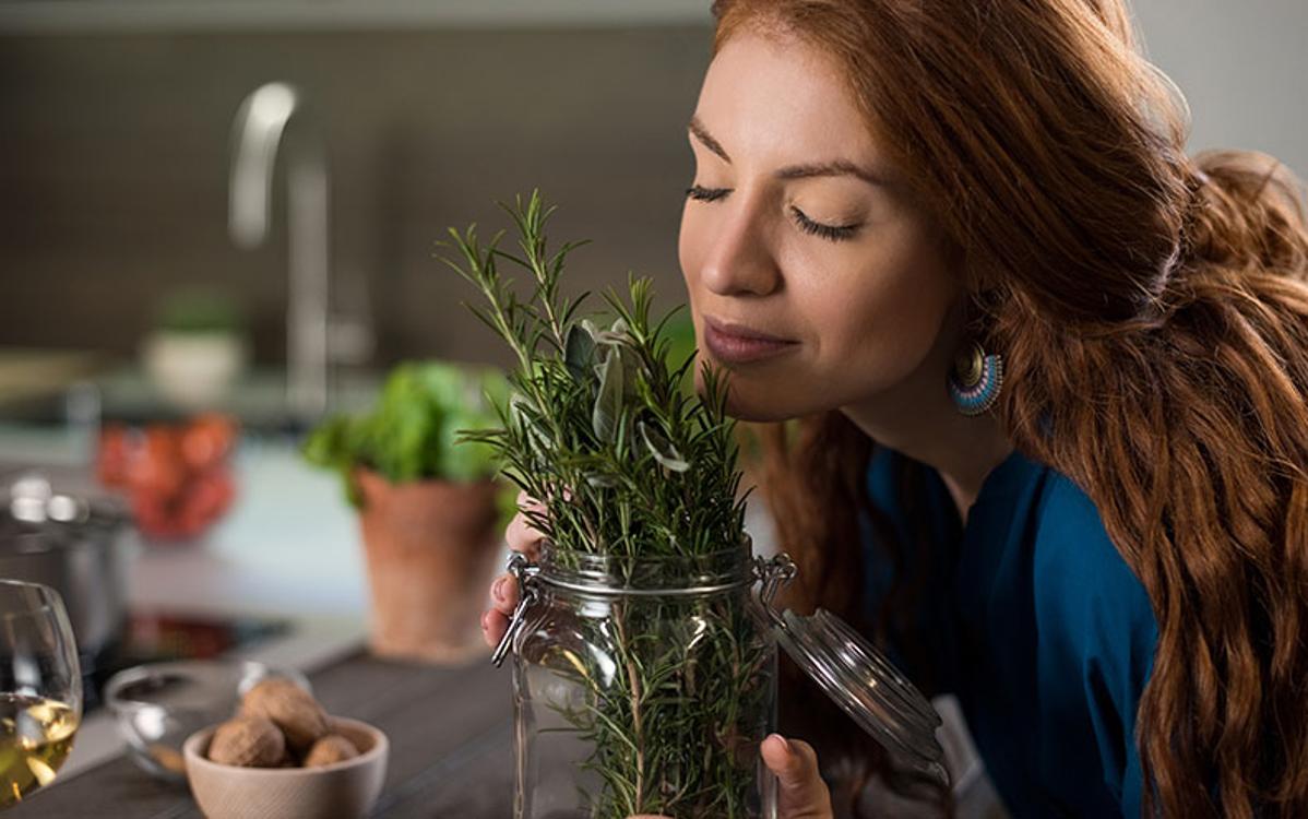 Erbe aromatiche che resistono al freddo