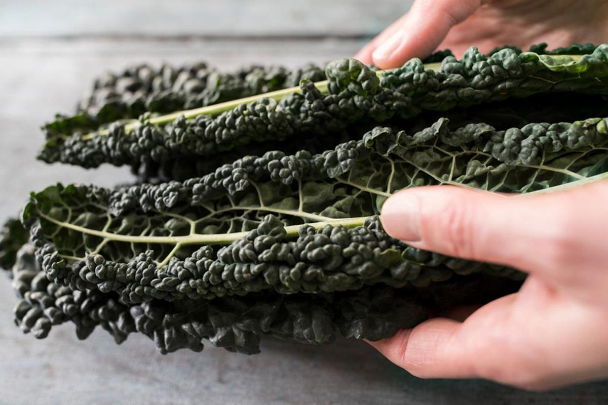 Ricette con il cavolo nero